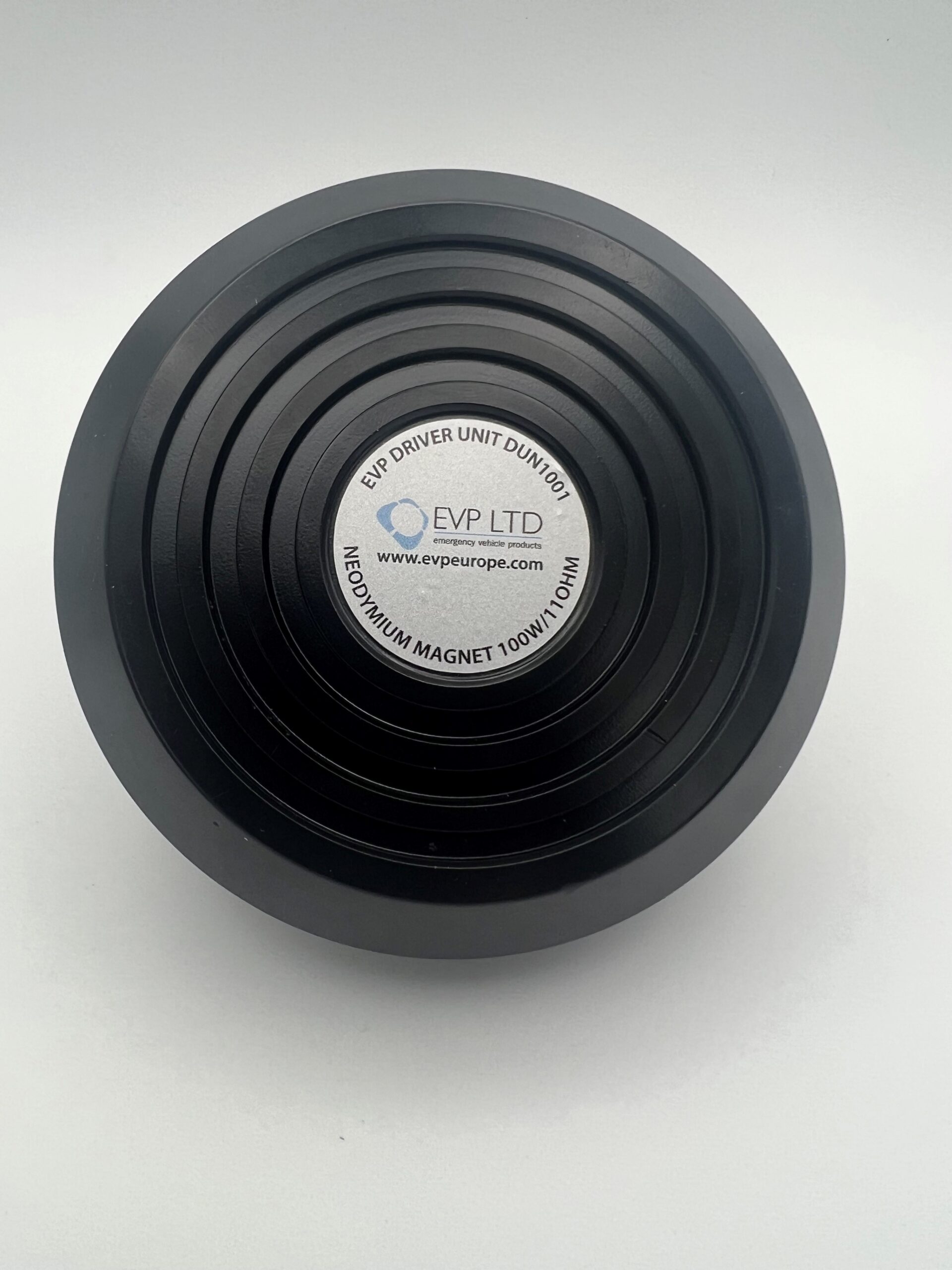 100 watt Replacement Speaker - For all leading brands
